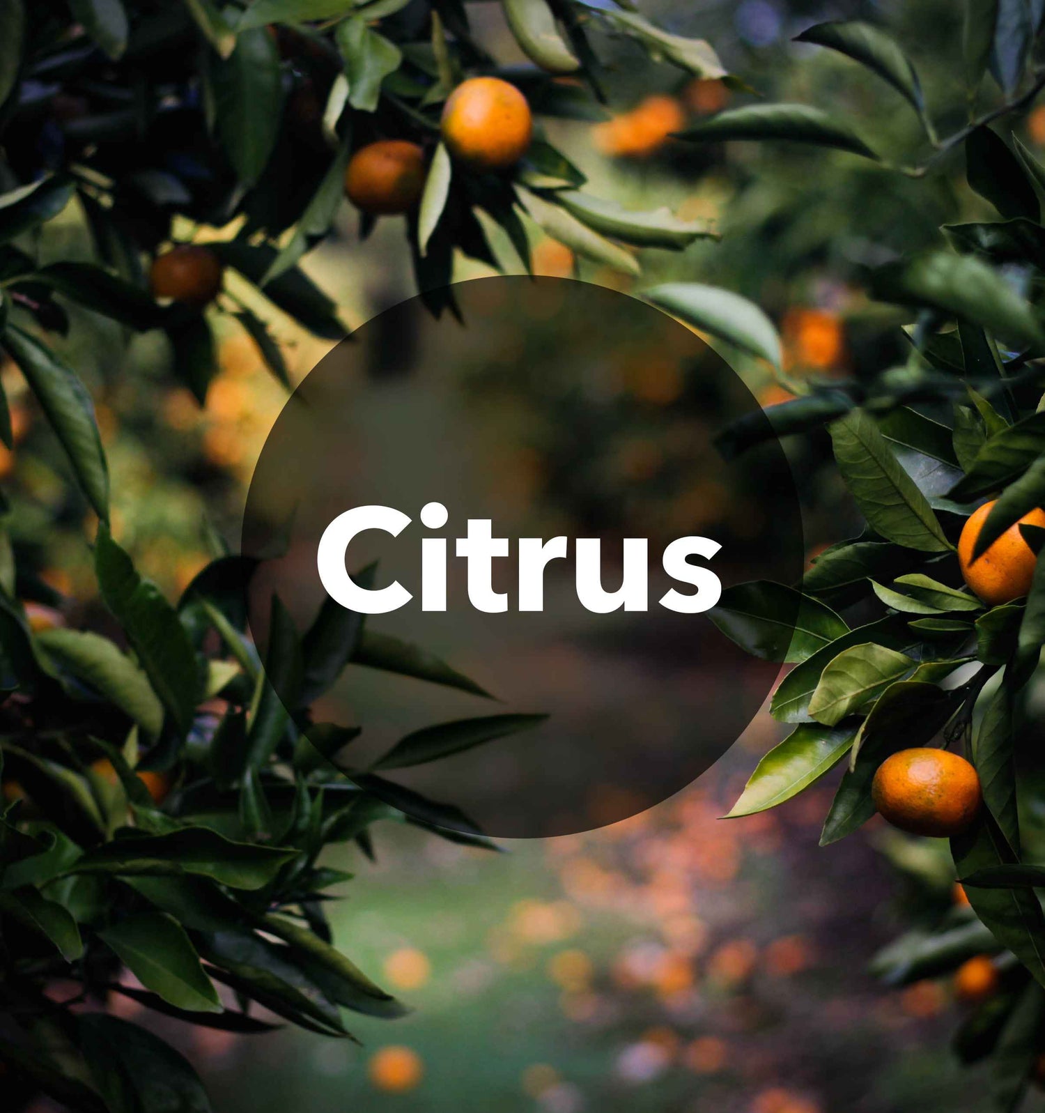 CITRUS